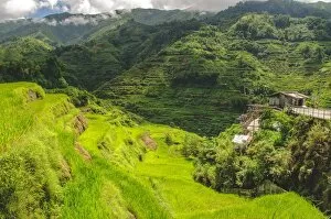 Images Dated 2nd July 2011: Banaue scenery