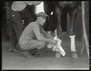 Bandaging Legs of Man O War