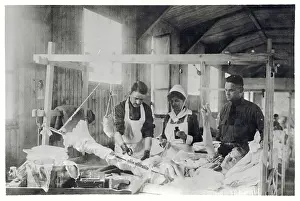 Bandaging a Soldier's Leg
