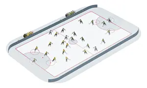 Ice Rink Prints: Bandy rink