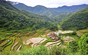 Bangaan Rice Terraces