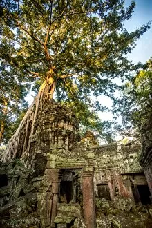 Place Of Interest Gallery: A banyan tree overtakes a building at the Ta Prohm temple in the Angkor Wat Complex located in