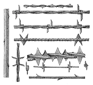 Spiked Gallery: Barbed Wire