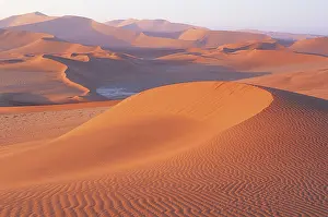 Barchan dune, Sossusvlei, Namib Desert