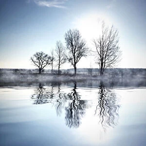 Images Dated 29th December 2014: Bare Tree, Beauty In Nature, Branch, Day, Lake, Nature, No People, Outdoors, Reflection
