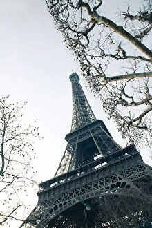 Images Dated 8th February 2012: Bare trees and Eiffel Tower
