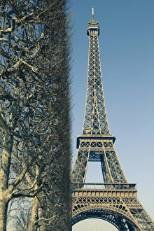 Cultural Image Gallery: Bare trees and Eiffel Tower