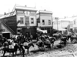 Barlett Brothers Built Pack Train of Horses In Alaska