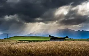Barn in an argricultural field