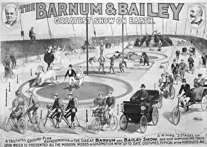 Ring Prints: Barnum And Bailey Circus Advertisement