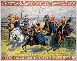 Circus Prints: Barnum & Bailey Horse Show