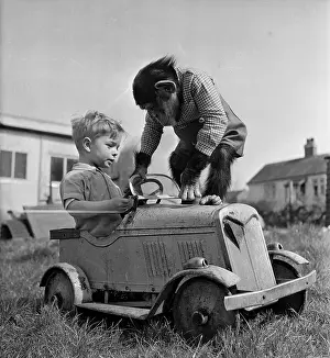 Toy Car Prints: Baron On Board