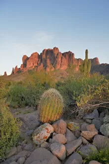 Images Dated 10th July 2017: Barrel Cactus in front of Superstition Mountains, Lost Dutchman State Park, Arizona, USA