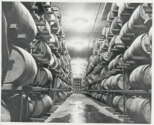 Barrels Containing Alcohol