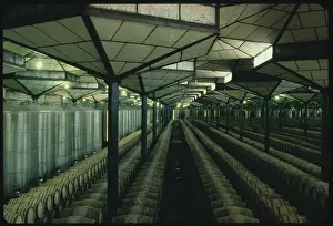 Conformity Prints: Barrels of Sherry