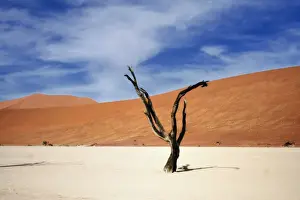 Barren, Arid, red dunes, hot, heat