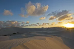 Images Dated 28th December 2011: barren, cloud, color image, colour image, de hoop nature reserve, desert, dune, dusk