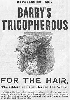 T1700764 Prints: Barry's Tricopherous For Hair