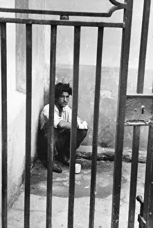 Railings Prints: Behind Bars