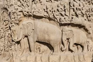 Images Dated 3rd April 2012: Bas-relief Descent of the Ganges, Mahabalipuram, Mamallapuram, Tamil Nadu, Kanchipuram, India