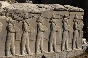 Persepolis Prints: Bas-relief in Persepolis, Iran