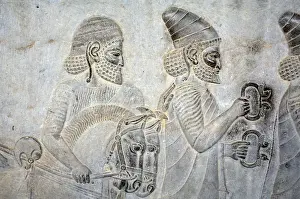 Persepolis Prints: Bas-relief in Persepolis, Iran