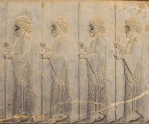 Iran Collection: Bas reliefs, Persepolis, Fars Province, Iran
