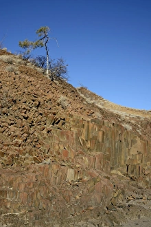 Images Dated 8th April 2013: Basalt columns, so-called Organ Pipes, Twyfelfontein, Damaraland, Kunene Region, Namibia
