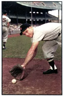 Arc0013923 Prints: Baseball Card Of Eddie Yost