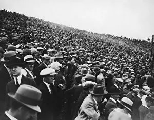Baseball Crowd