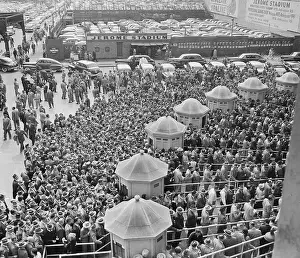 Baseball Fans at Yankee Stadium