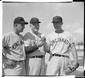 Tampa Prints: Baseball Greats Mingling Together