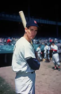 Ted Williams Prints: Baseball Legend Ted Williams Posing with Baseball Bat
