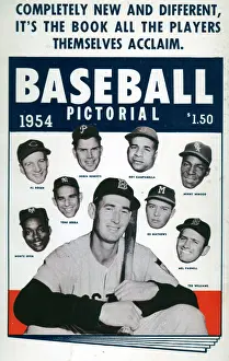 Ted Williams Prints: Baseball Pictorial Postcard