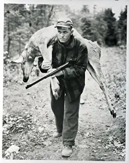 Maine Prints: Baseball Player Carrying Deer
