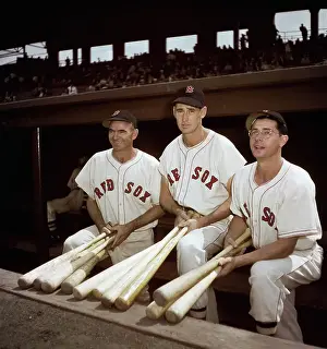 Ted Williams Prints: Baseball Players in Dugout with Bats