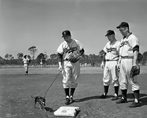 Leading Prints: Baseball Players Lead Pet Dog Around Bases