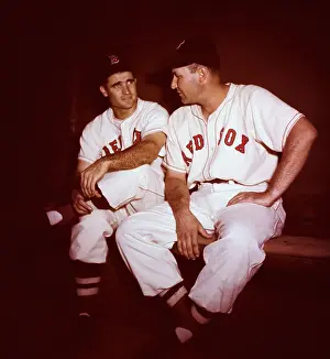 Baseball Players Sitting and Talking