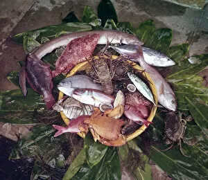 A Basket Of Fresh Caught Seafood