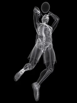 Leaping Prints: Basketball player, artwork