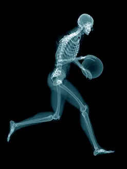 Scientific Prints: Basketball players skeletal structure, illustration