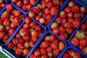 Images Dated 2nd July 2011: Baskets of strawberries at a market stall