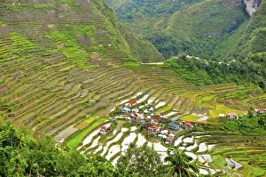 Banaue Prints: Batad Rice Terraces