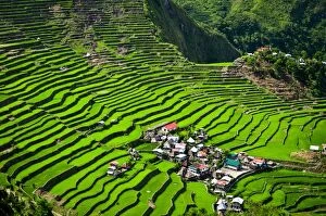 Images Dated 29th April 2016: Batad Rice Terraces