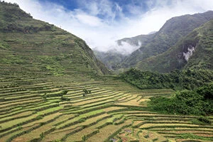 Images Dated 18th July 2015: Batad Rice Terraces of Cordillera