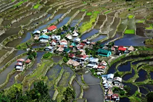 Images Dated 19th January 2017: Batad rice terraces Philippines
