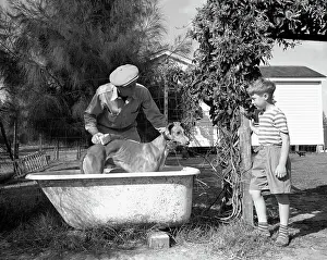 Bathing a Racing Dog