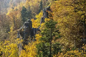 Images Dated 31st October 2011: Battertfelsen rocks in autumn, Battert mountain, Schwarzwald, Baden-Baden, Baden-Wurttemberg