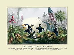 Mexican American Prints: The Battle of Palo Alto