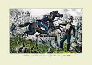 Battle of Resaca de la Palma